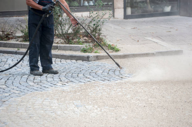 Animal Enclosure Cleaning in Vandercook Lake, MI