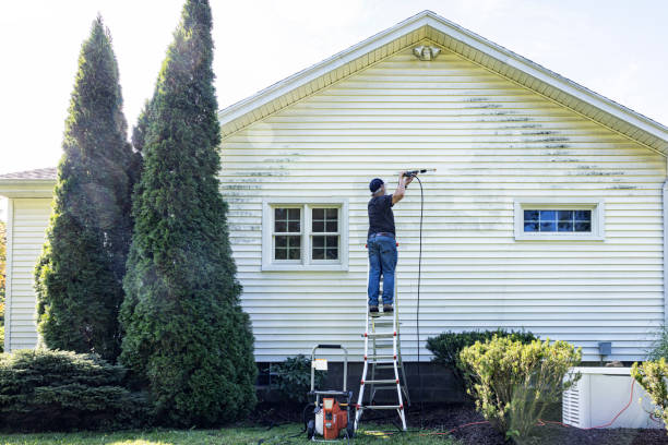 Solar Panel Cleaning in Vandercook Lake, MI